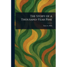 The Story of a Thousand-Year Pine