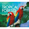 Bringing Back Our Tropical Forests