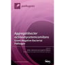 Aggregatibacter actinomycetemcomitans-Gram-Negative Bacterial Pathogen