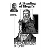 A Reading of Hegel's Phenomenology of Spirit