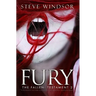 Fury: A Religious Fiction Psychological Suspense Thriller Book: Testament 2: The Fallen Series of Religious Thriller Books