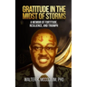 Gratitude in the Midst of Storms: A Memoir of Fortitude, Resilience, and Triumph