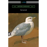The Sea-Gull