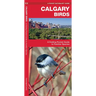 Calgary Birds: A Folding Pocket Guide to Familiar Species