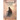 The Assassin's Code