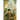 The Story Of Doctor Dolittle (Illustrated)
