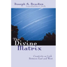 The Divine Matrix