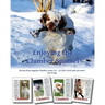 Enjoying the Clumber Spaniel: the Best from magazine Clumbers issues 122 - 125 (2011-2012) and even more!