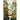 West