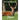 Picture Book of Deers: Fabulous Picture Book for Alzheimer's Patients and Seniors with Dementia.