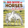 Big Book of Horses to Color