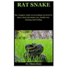 Rat Snake: The Complete Guide On Everything You Need To Know About Rat Snake Care, Health Care, Housing And Feeding