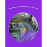 Multidimensional Dowsing Questions: Volume II