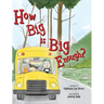 How Big is Big Enough?