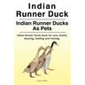 Indian Runner Duck. Indian Runner Ducks As Pets. Indian Runner Ducks book for care, health, housing, feeding and training.