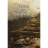 Letters from Snowdon