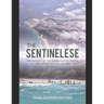The Sentinelese: The History of the Uncontacted People on North Sentinel Island