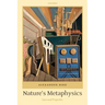 Nature's Metaphysics: Laws and Properties