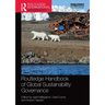 Routledge Handbook of Global Sustainability Governance