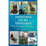 Thoughts On My Thoughts