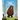 Does a Bear Poo in the Woods?