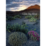 Little Big Bend: Common, Uncommon, and Rare Plants of Big Bend National Park