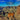 Grand Canyon Park Animals and Attractions Kids Book: Great Way for Kids to See the Grand Canyon National Park