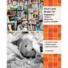 First Czech Reader for beginners, Volume 2: bilingual for speakers of English