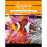 Laguna Beach Volume 2: Sea, Lost Ocean, Dolphin, Shark Grayscale coloring books for adults Relaxation Art Therapy for Busy People (Adult Colo