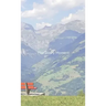 Hardcover Monthly Planner Mountain Theme: 5.5x8.5 Fillable Blank Templates Undated Calendar for Office, School or Home, Sun-Sat, Pages For Notes, List