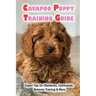 Cavapoo Puppy Training Guide: Expert Tips On Obedience, Commands, Behavior Training & More: Dog Training Kindle Store
