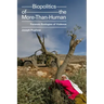 Biopolitics of the More-Than-Human: Forensic Ecologies of Violence