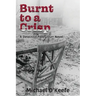 Burnt to a Crisp-a Detective Paddy Durr novel, Book 3