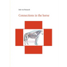 Connections in the horse