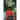 TTEO Take The Emotion Out: YA Urban Fantasy
