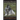 Norwegian Elkhound Training Book for Norwegian Elkhound Dogs & Norwegian Elkhound Puppies By D!G THIS DOG Training: Norwegian Elkhound Training Begins
