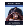 Red-Foot Tortoise: A Red-Foot Tortoise Pet Owner's Guide