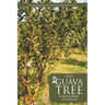 The Guava Tree