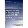 Baryonic Processes in the Large-Scale Structuring of the Universe
