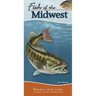 Fish of the Midwest: Your Way to Easily Identify Fish
