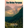 The Divine Purpose Displayed in Providence and Grace