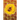 The Return of the Bees