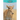 Saigas