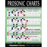 Fretboard Chord Charts for Guitar - Volume 2