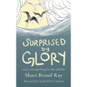 Surprised by Glory: Essays on Searching for the Sublime