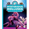 Mysterious Mollusks: Shells, Slime, and Suction