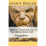 Satan's Wager: What the Devil and Job Got Wrong about God
