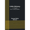 Little Hickory; or, Ragged Rob's young republic