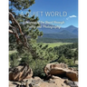 A Quiet World: Whispers of the Heart through Poetry and Photography
