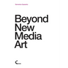 Beyond New Media Art